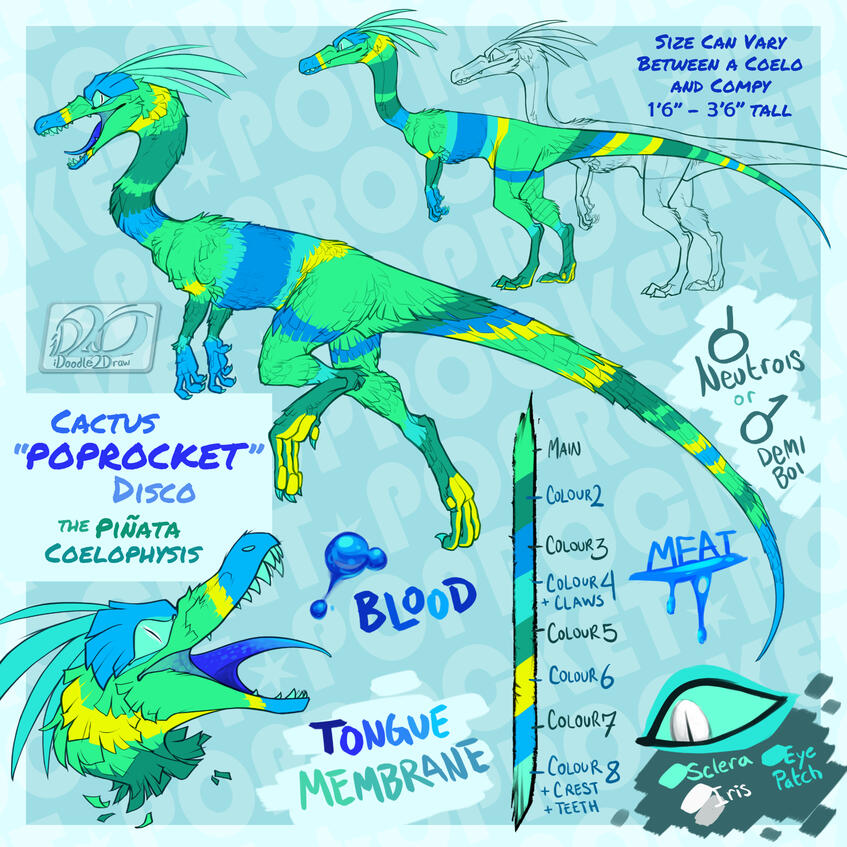 C-POPROCKET-D [sona @ me]