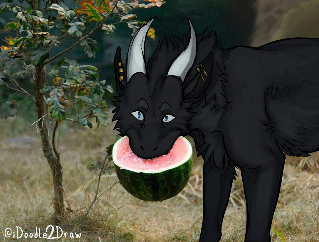 watermelon wolf [sona @e621drake]