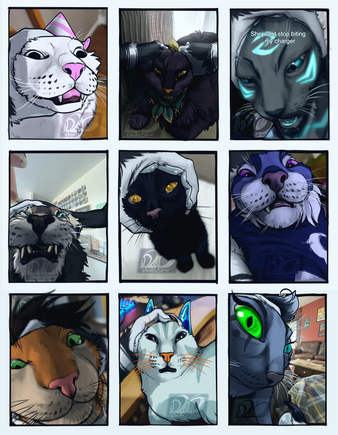 cats with their heads' held back