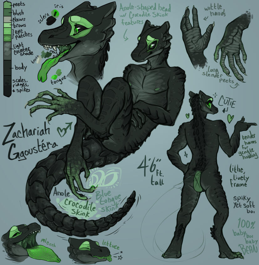 skink style [character does not belong to me]