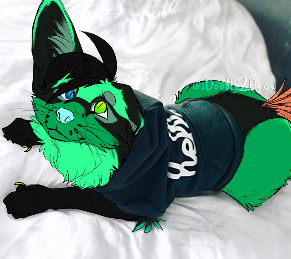 hoodie fox [character does no belong to me]