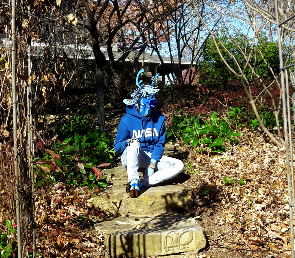 Vacation in North Carolina! [sona @deadroo]