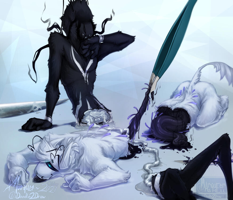 The Perfect Balance [sonas @ me]