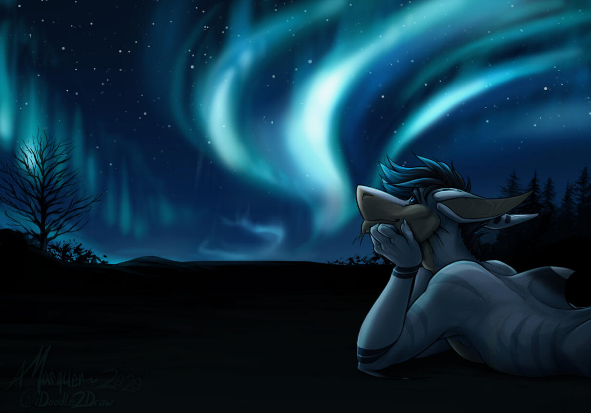 Covyn - Starry Night [sona @ Dracrosinos]